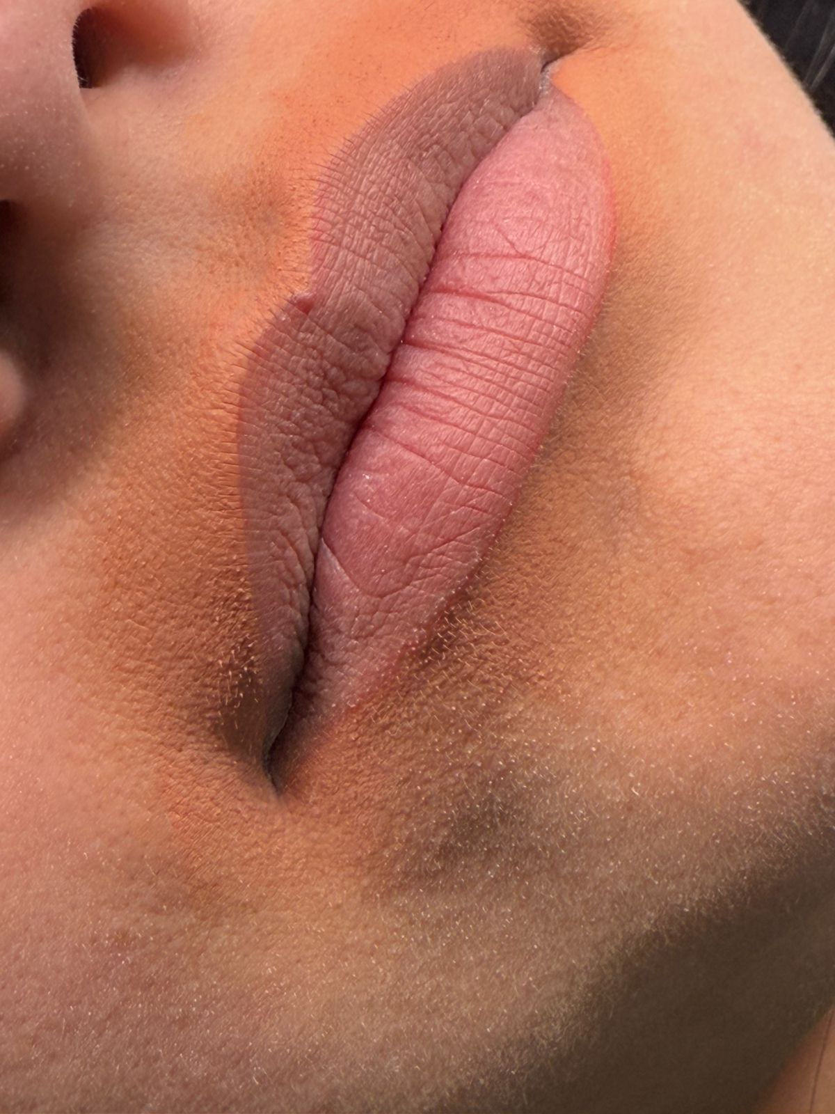 Microblading Renca resultados